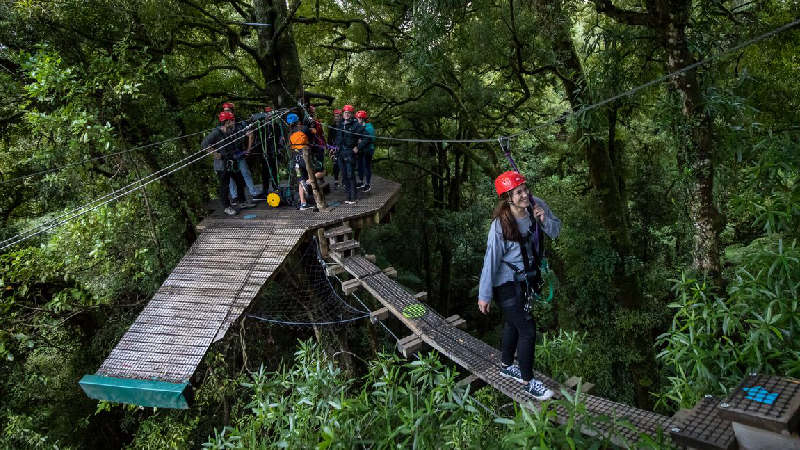 CANOPY TOUR - ROTORUA highwire