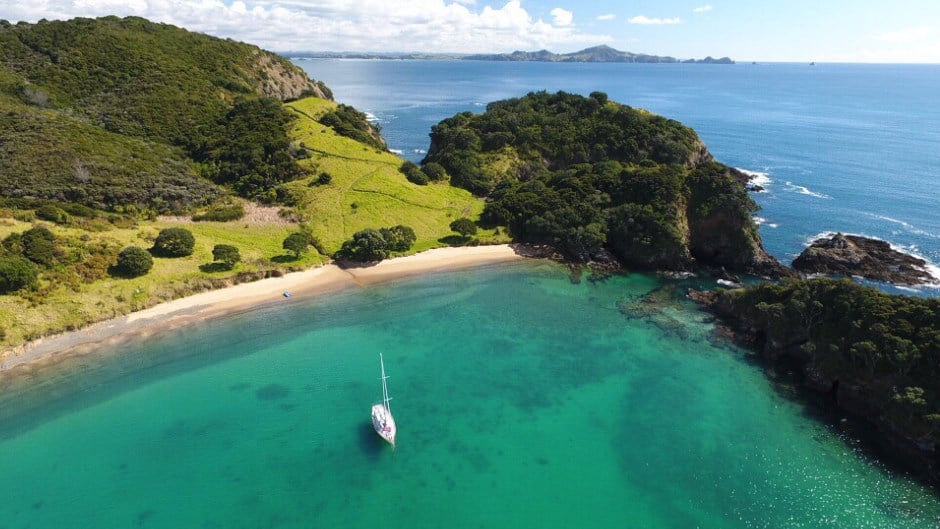 Bay Of Islands sailing deals