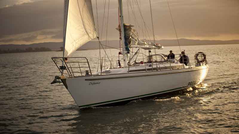 Auckland Harbour Sailing Cruise 