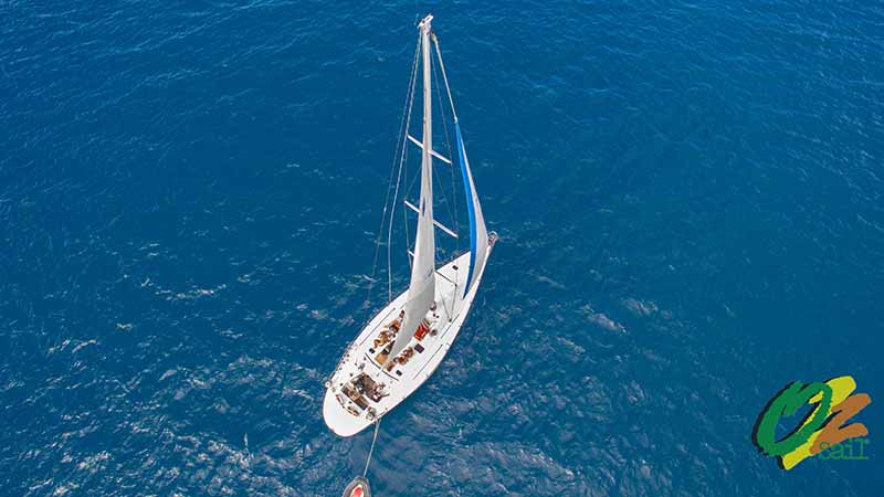 Mandrake Whitsundays