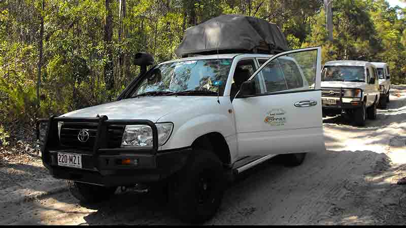 Pippies Fraser Island Tour