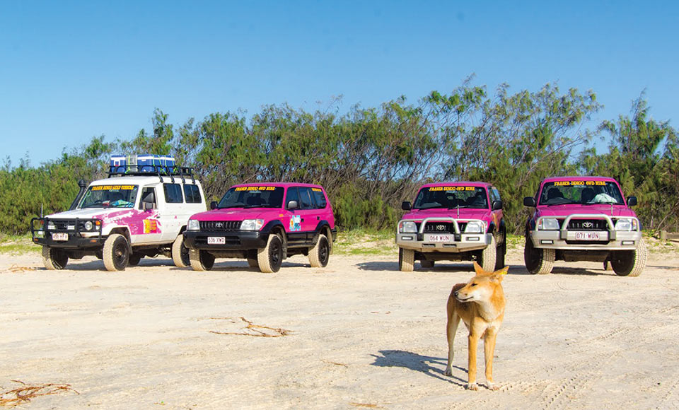 3 Day Tour Fraser Island