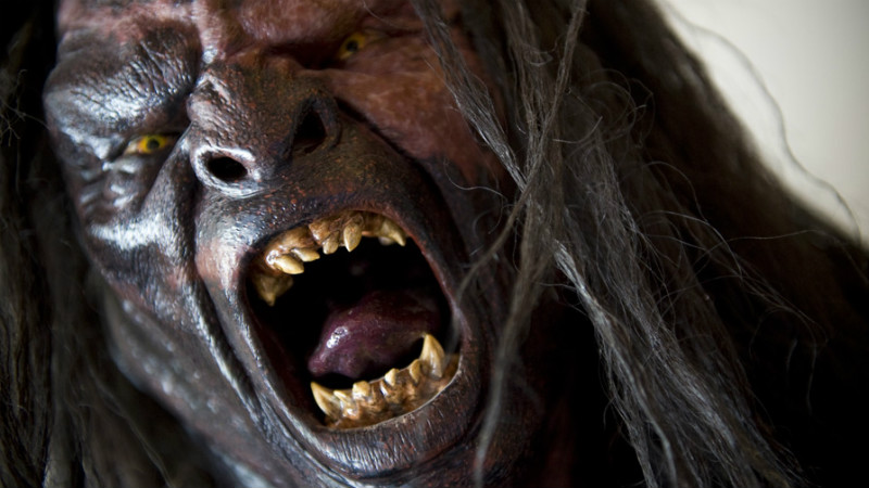 LORD OF THE RINGS - HALF DAY TOUR wellington