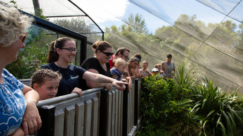PUKAHA NATIONAL WILDLIFE CENTRE - FAMILY ENTRY wellington
