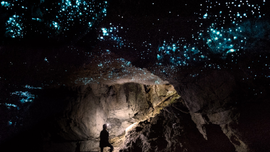 Glowing Adventures Waitomo