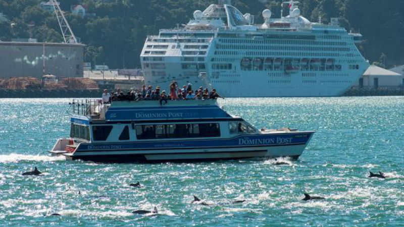 RETURN FERRY TO DAYS BAY - EAST BY WEST FERRIES wellington