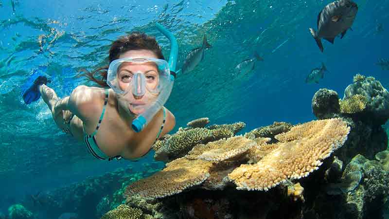 Great Barrier Reef Full Day Snorkel Tour Reefquest Epic Deals And