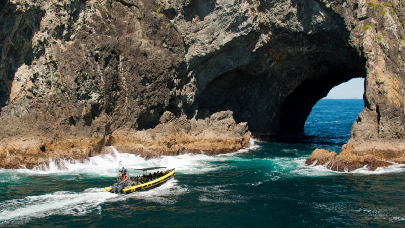 Ocean Adventure