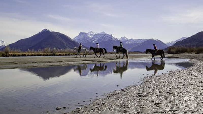 Lake Wakatipu Horse Trek