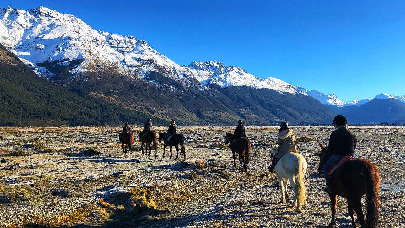 Lake Wakatipu Horse Trek