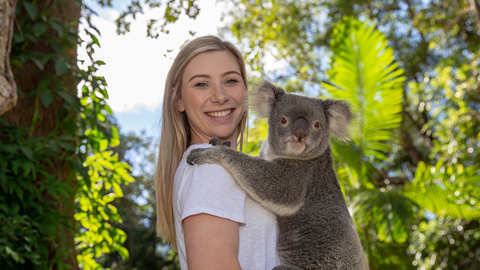 Currumbin Wildlife Sactuary deals
