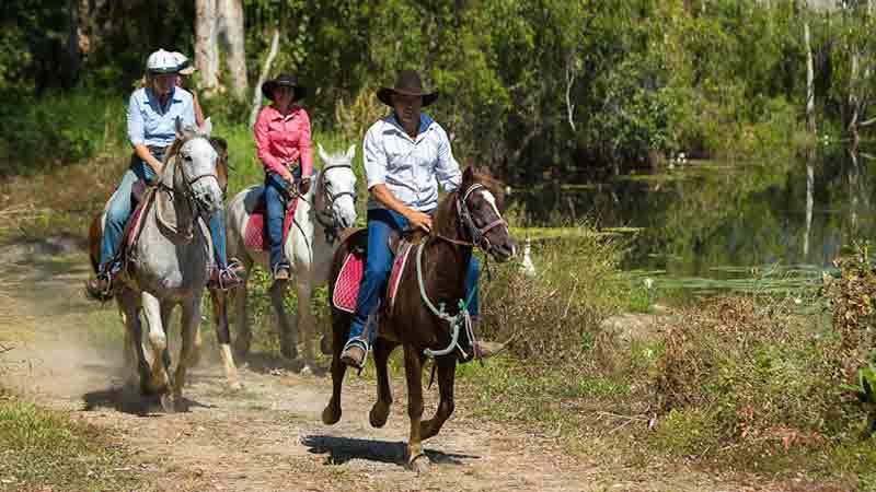 Horse Trekking Cairns