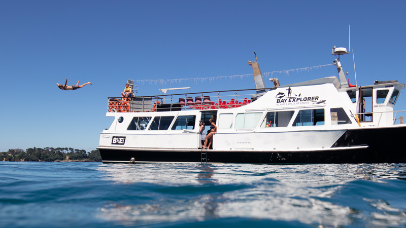 Wild Life and Dolphin Cruise Tauranga