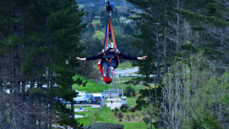 Silverdale Adventure Park Zipline Auckland