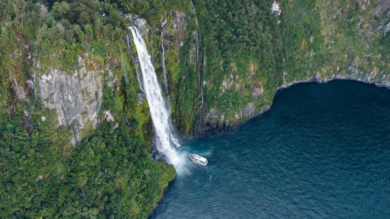 An unforgettable, personal Milford Sound day trip!