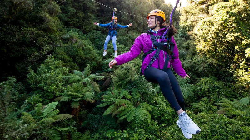 CANOPY TOUR - ROTORUA zipline, flying fox