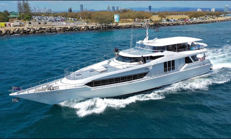Whale Watching Gold Coast