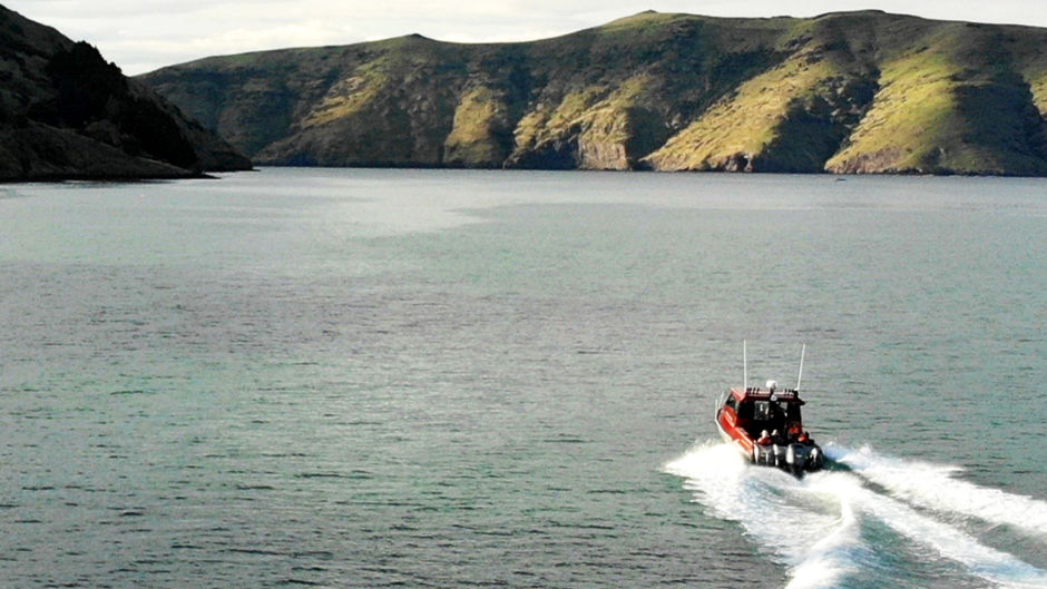 Akaroa Scenic Wildlife Cruises - Deals