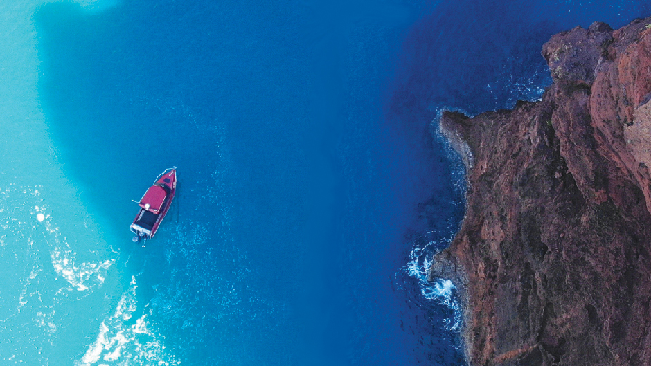Akaroa Scenic Wildlife Cruises - Deals