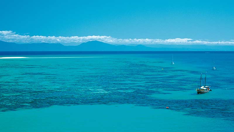 Cairns Reef Trip