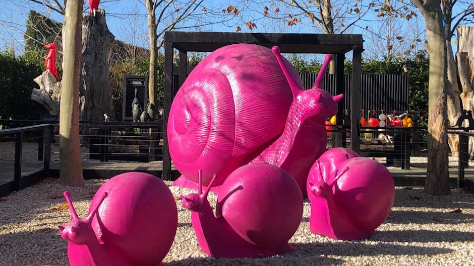 Giant Snail Sculpture Auckland deals