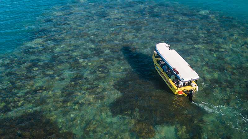 Glass Bottom Boat Airlie Beach