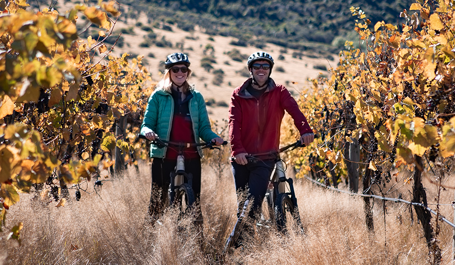 Around the Basin SELF-GUIDED WINERY BIKE TOUR 3/4 DAY - AROUND THE BASIN BIKE QUEENSTOWN