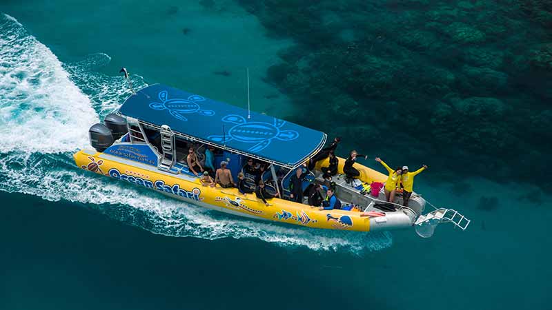 Ocean Safari Cape Tribulation