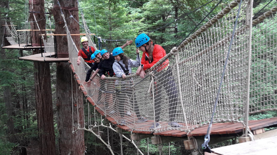 Redwoods Altitude bridge