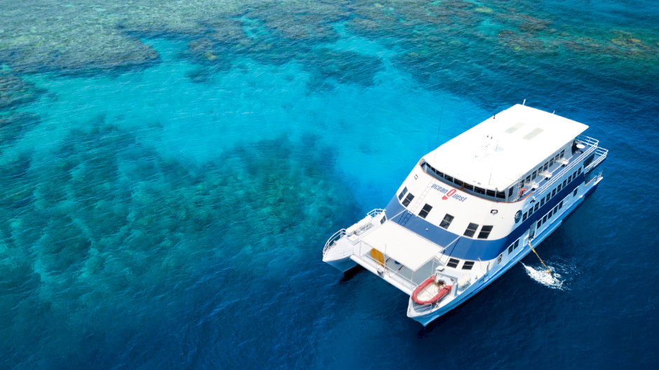 Learn to dive course Cairns deals