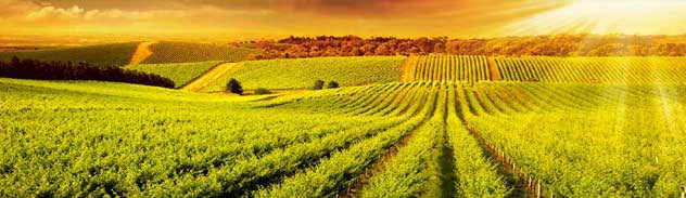 Find fantastic deals and discounts on activities and adventures.