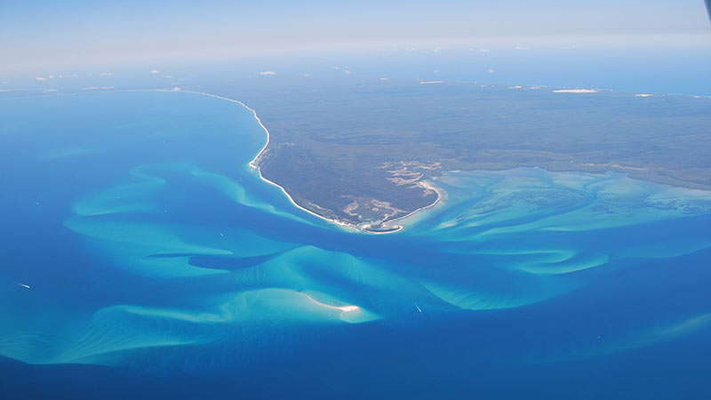 Experience one of the most beautiful places to skydive in Australia, guaranteed beach landing, price includes APF Levy!