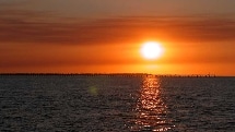 Champagne Sunset Sail - Blue Dolphin - Hervey Bay