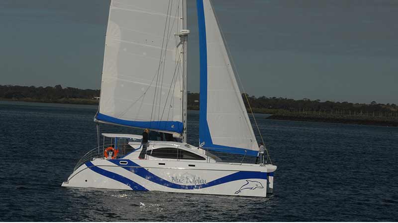 Join us for a morning cruise of the Great Sandy Straits by Hervey Bay and Fraser Island, as we go in search of the bottlenose and indo-pacific humpback dolphins