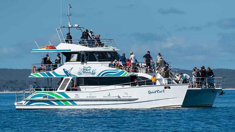 Join the team at Hervey Bay Whale Watch for a fun, educational and exciting Whale Watch experience aboard Quick Cat II.