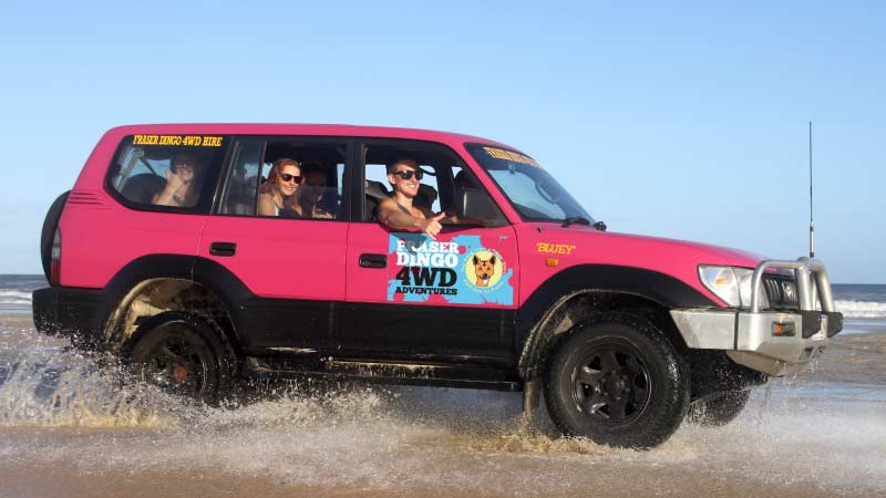 Want to see Fraser Island with your friends or family? Fraser Dingo 4wd Hire's Group Getaway saves you money and gives you the freedom to do so in your own 4wd.