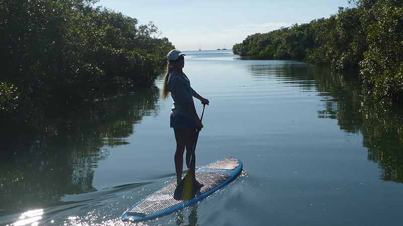Grab yourself a board for a couple of hours end explore the beautiful waters of 1770!