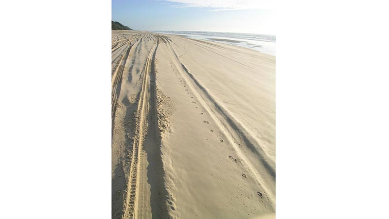 The most Eco friendly 4wd tour on Fraser Island, spend the most time at Lake McKenzie!