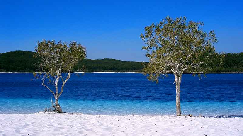 Enjoy a great Fraser Island hiking adventure and four wheel drive transfer, camp at Lake McKenzie and swim at the secret hikers beach