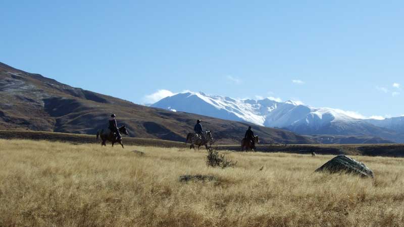 This fully guided horse ride is suitable for all experience levels with horses for all abilities, a fantastic value for money experience that can be enjoyed by all...