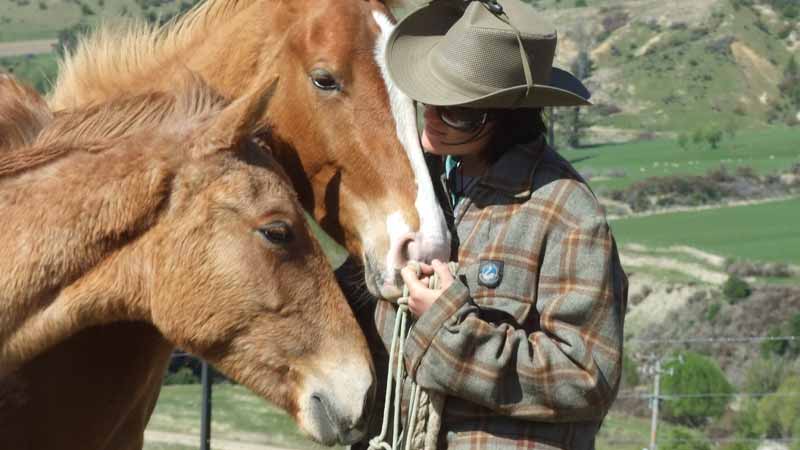 This fully guided horse ride is suitable for all experience levels with horses for all abilities, a fantastic value for money experience that can be enjoyed by all...