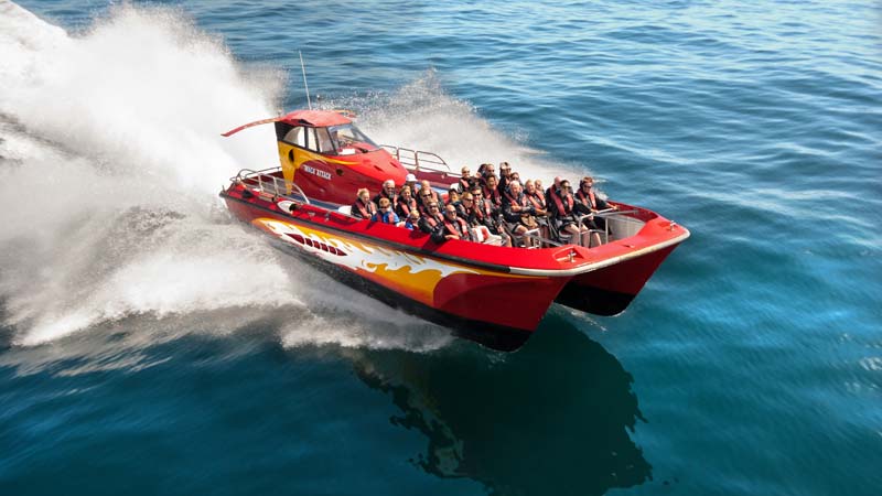 Experience the thrill and exhilaration of Mack Attack - The Bay of Islands fastest boat to the famous Hole in the Rock!