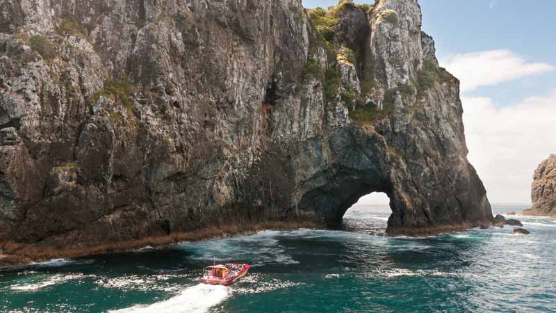 Experience the thrill and exhilaration of Mack Attack - The Bay of Islands fastest boat to the famous Hole in the Rock!