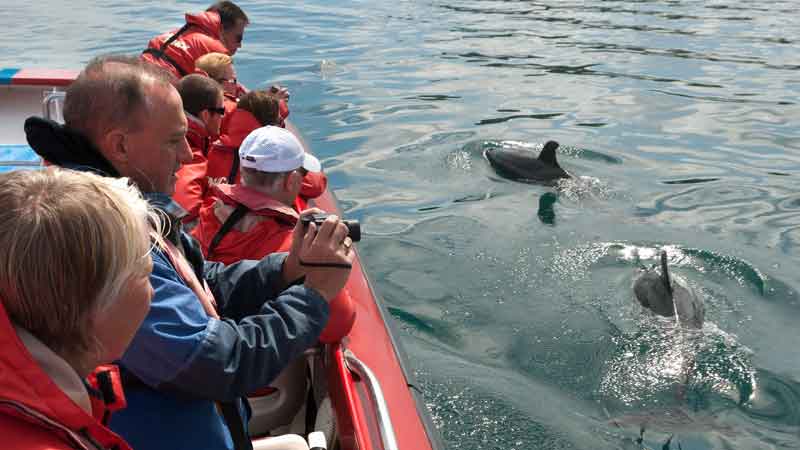 Experience the thrill and exhilaration of Mack Attack - The Bay of Islands fastest boat to the famous Hole in the Rock!