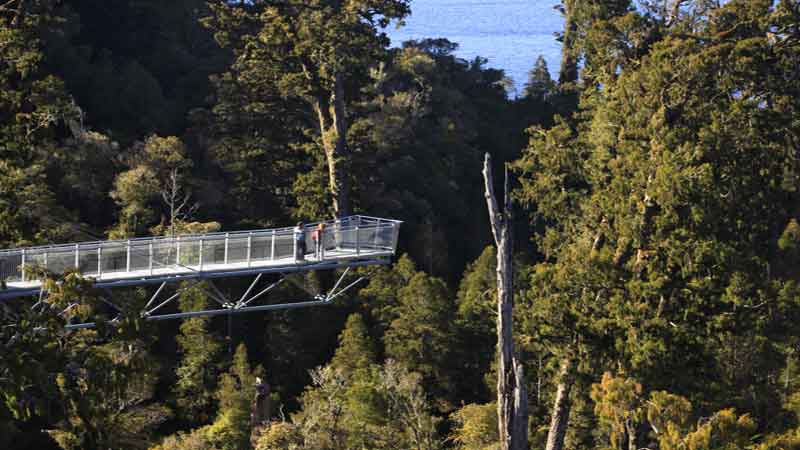 See New Zealand's famous rain forests from the "top down", a truly unique attraction!