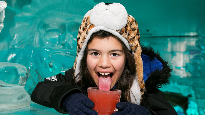 Make the most of spectacular photo opportunities among beautifully hand carved ICE sculptures while enjoying a delicious vodka cocktail in a bar made of solid ICE!