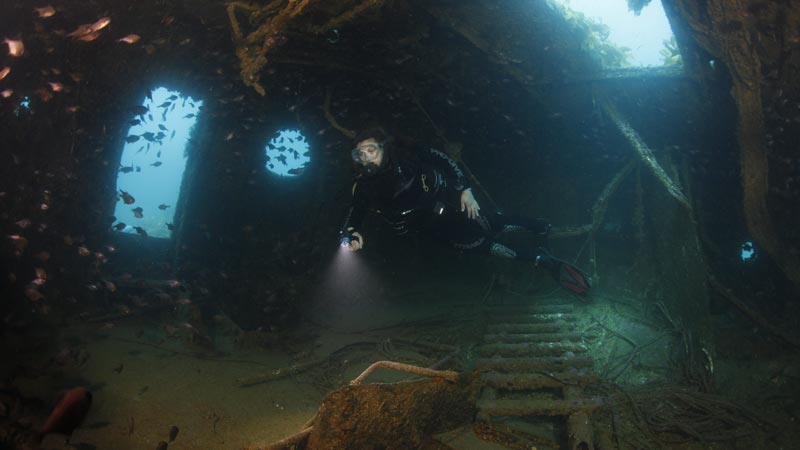 Get out and experience the stunning underwater landscape of the Bay of Islands on this epic full day expedition to explore the historical Rainbow Warrior shipwreck site, as well as a pristine reef dive.