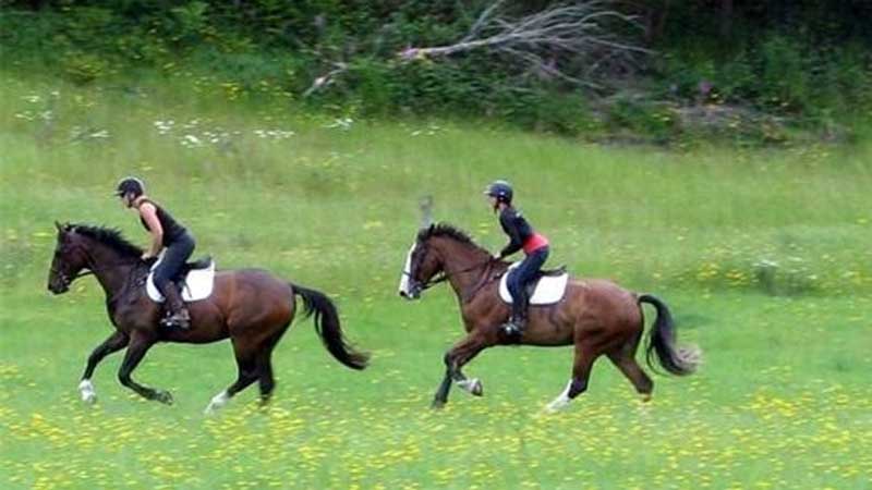 Experience an enchanting horse trek through rolling farmland and stunning native bush at Tui Glen Farm, enjoying amazing scenic views of Mount Putauaki, Whale Island and the Eastern Bay of Plenty.