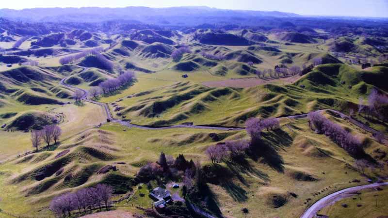 Experience an enchanting horse trek through rolling farmland and stunning native bush at Tui Glen Farm, enjoying amazing scenic views of Mount Putauaki, Whale Island and the Eastern Bay of Plenty.