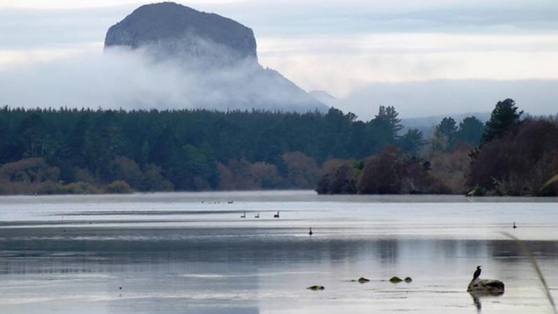 Experience a piece of New Zealand's maritime history aboard the 105 year old Otunui paddleboat and enjoy a 2 hour cruise along Lake Whakamaru surrounded by beautiful native forest, wildlife, hidden valleys, streams and dams.